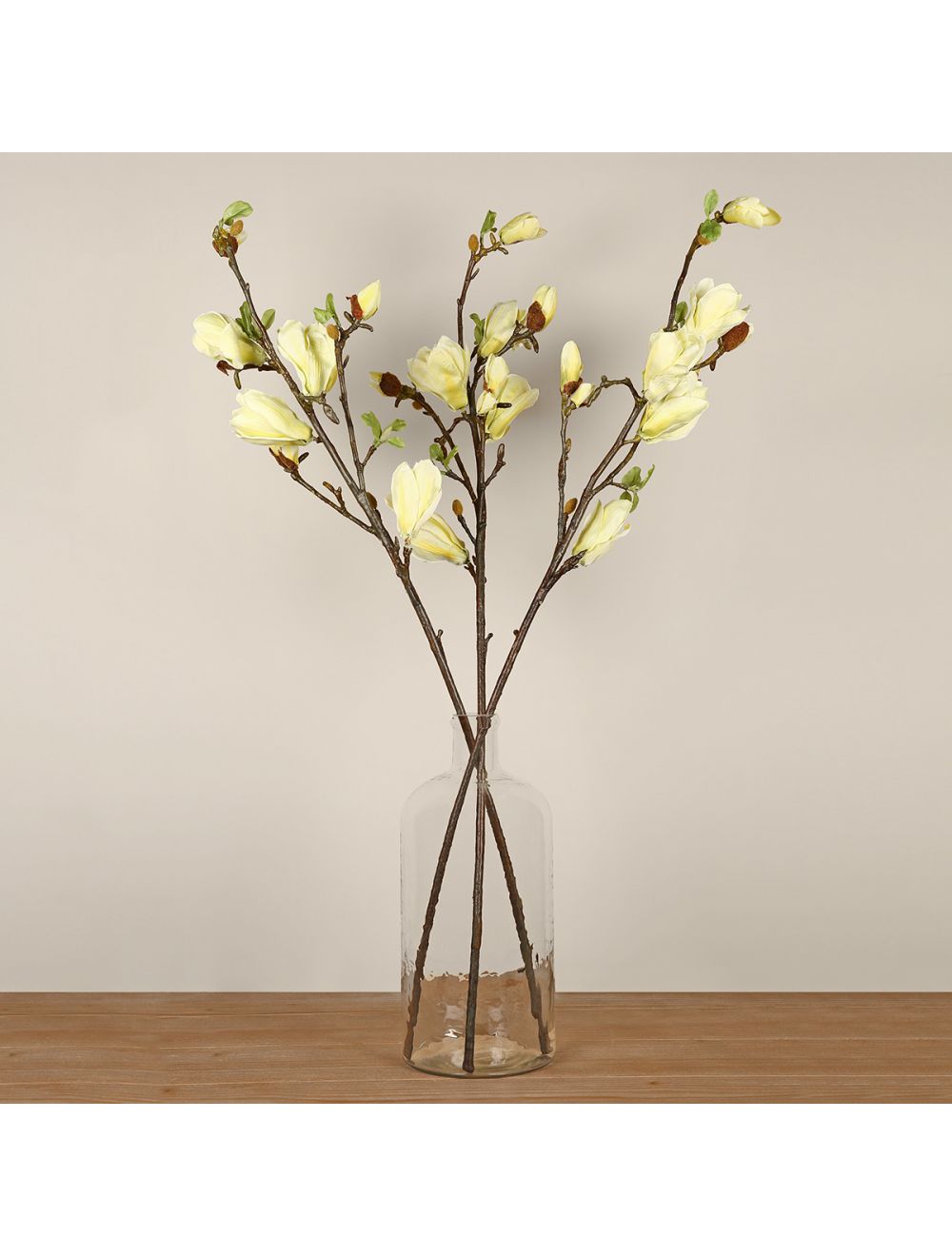 Magnolia Flower